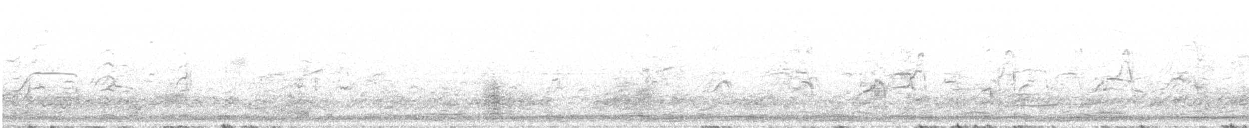 buřňák fernandezský - ML432035321
