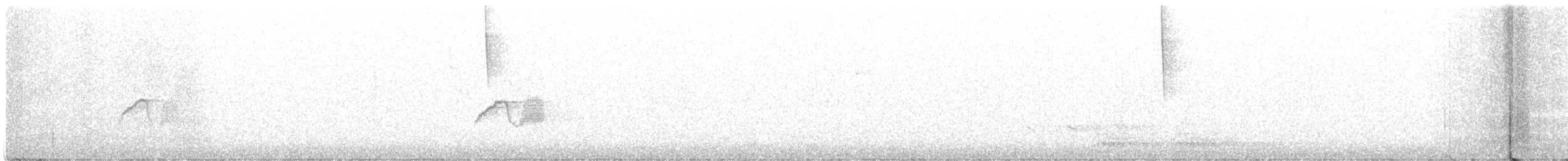 Светлобрюхий фиби - ML432039001