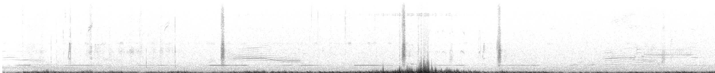 Tricolored Blackbird - ML432048151
