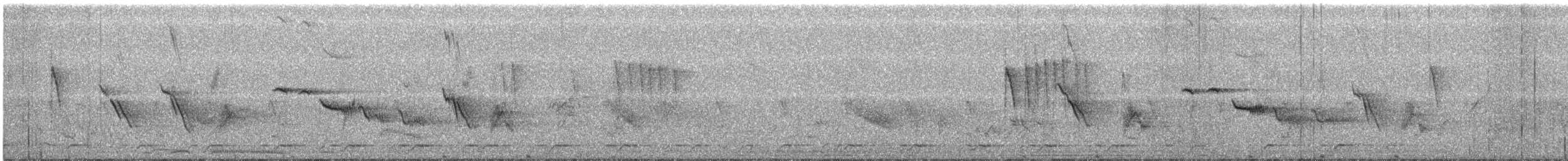 白腹秧雞 - ML432106971