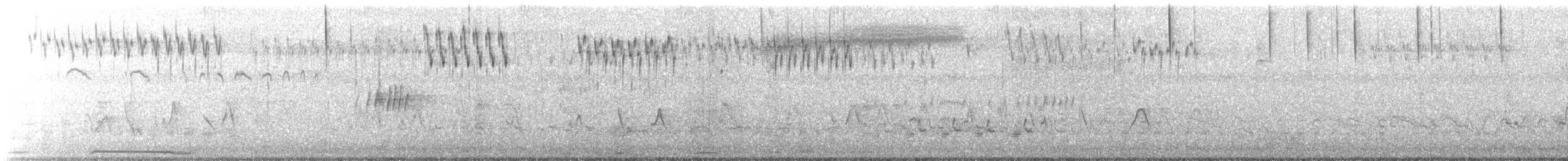 Heuschreckenammer - ML432114911