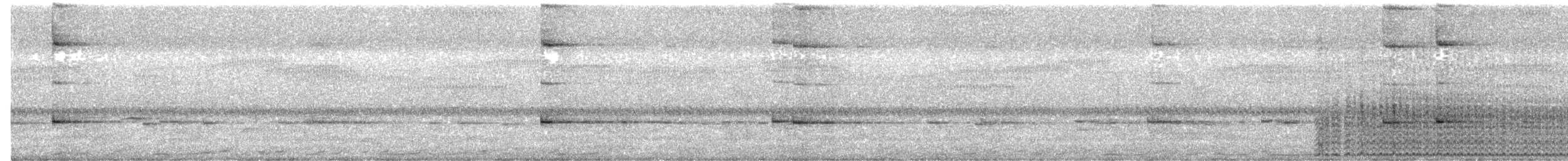 Spotless Crake - ML432195881