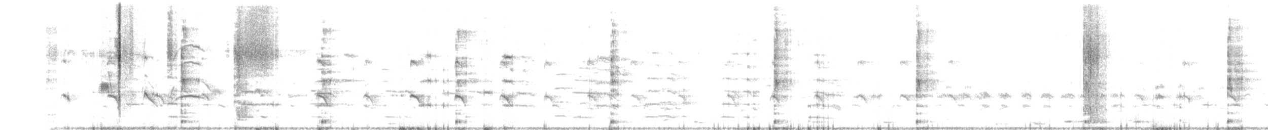 Белокрылая лысуха - ML432232691