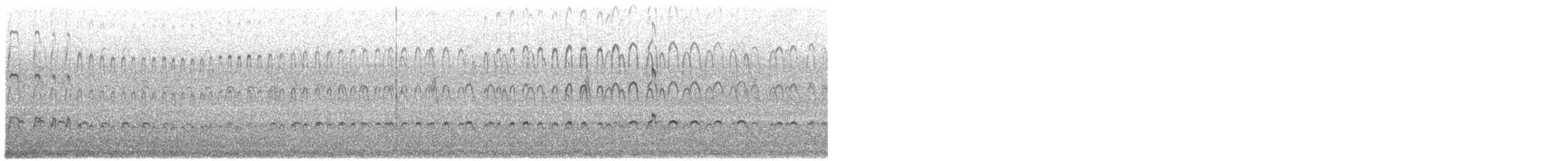 Braunmantel-Austernfischer - ML432275301