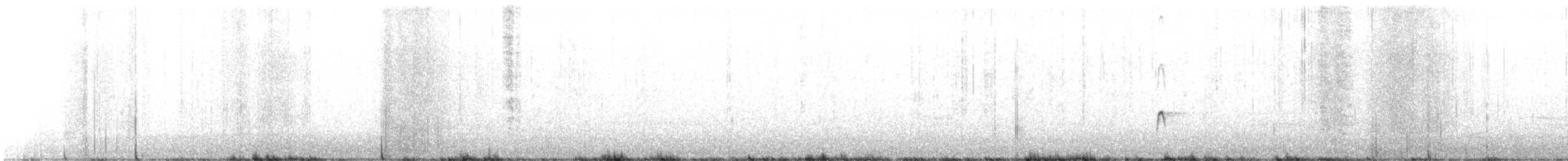Американский бекасовидный веретенник - ML432383741