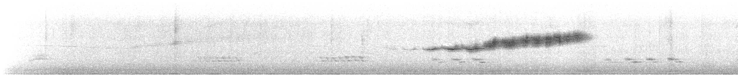 buskparula - ML432407591