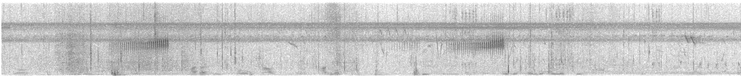 Cisticole du Nil - ML432425931