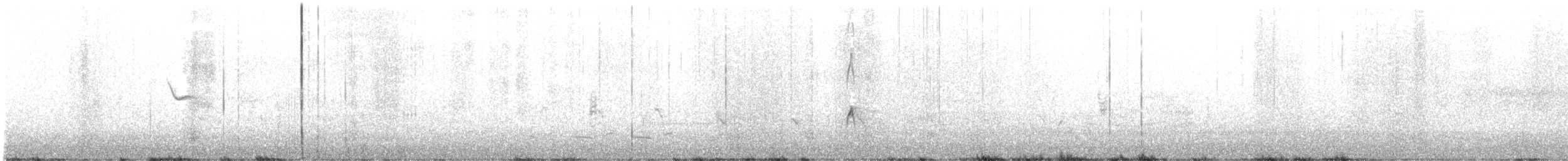 オオハシシギ - ML432440401