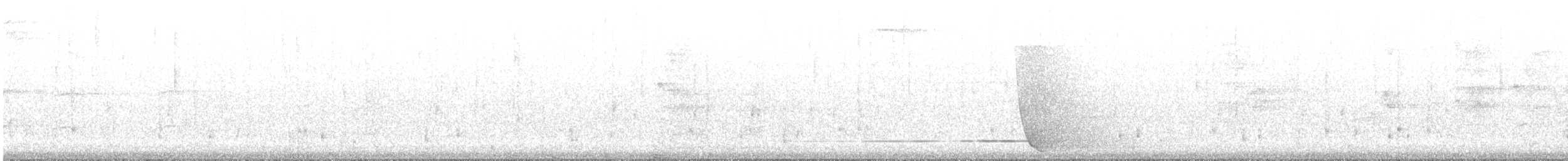 Белогорлая птица-бич - ML432518401