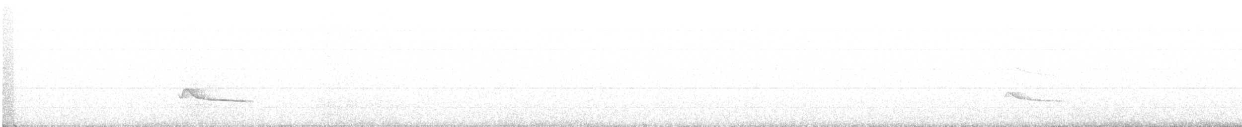 Рыжебрюхий фиби - ML432536061