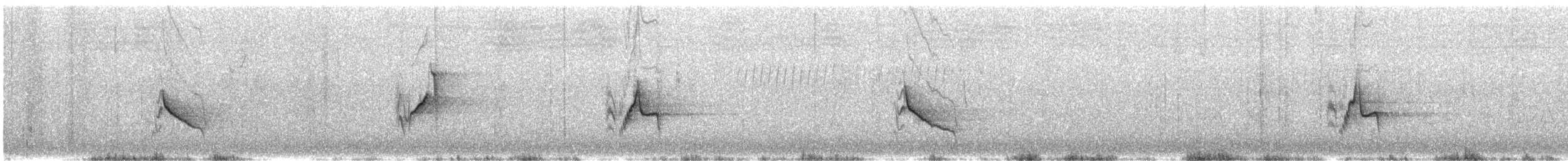 Vireo Plomizo (notius/montanus) - ML432593501