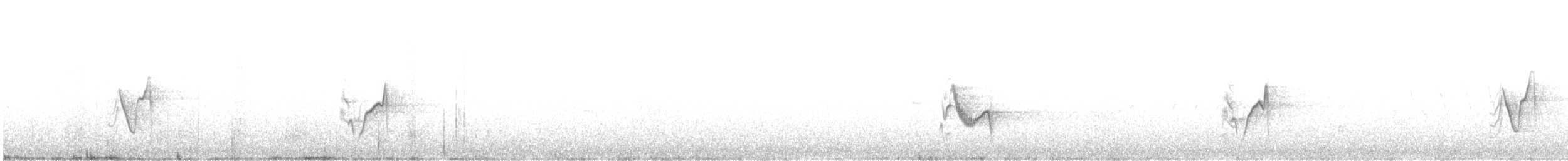 Kurşuni Vireo (notius/montanus) - ML432602151