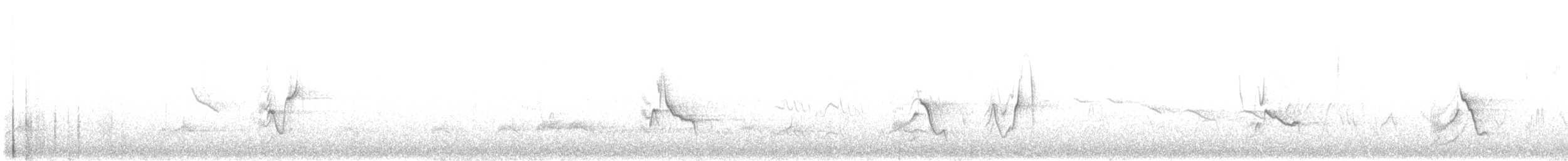 Kurşuni Vireo (notius/montanus) - ML432603511