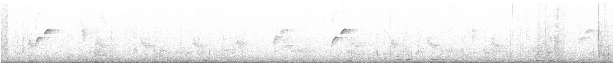 Batı Amerika Sinekkapanı (occidentalis/hellmayri) - ML432609591