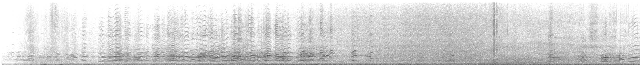 Zwergkanada-/Kanadagans - ML432631291