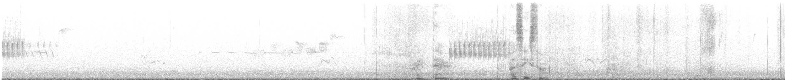Black-throated Gray Warbler - ML432652211