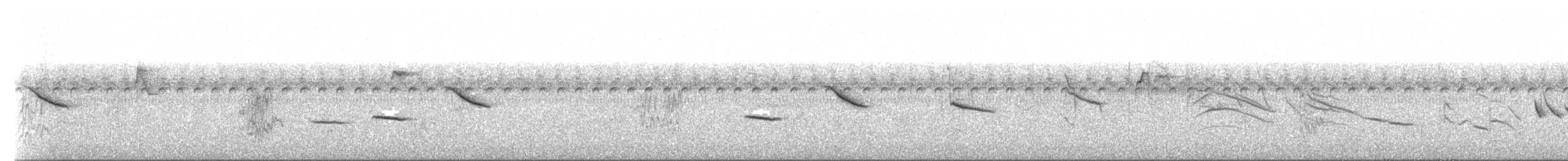 Sporophile à gorge sombre - ML432705871