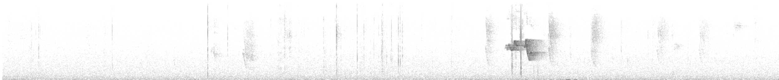 Віреончик білочеревий - ML432750481