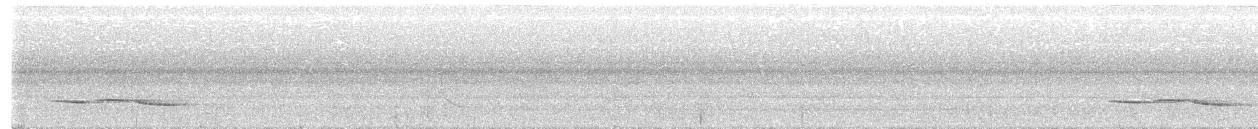 White-necked Babbler - ML432799251