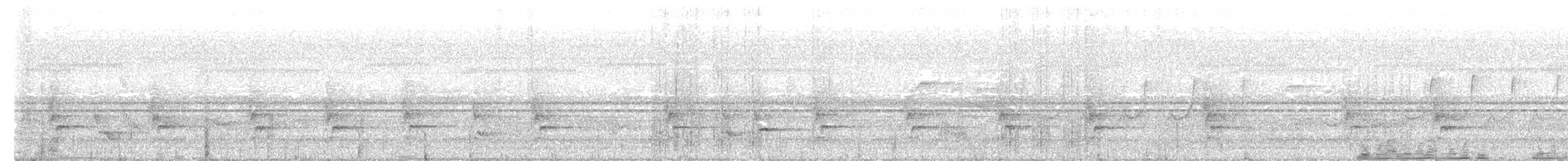 Perlbrust-Fächerschwanz - ML432799481