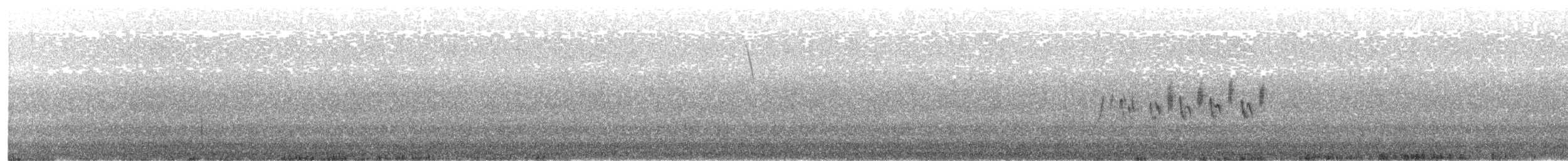 Кропив'янка прудка (підвид curruca/blythi/hamertoni) - ML432819821