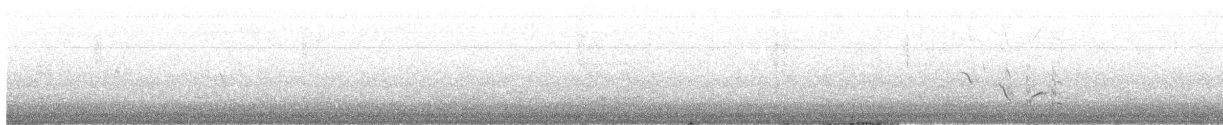 Blue Rock-Thrush (solitarius/longirostris) - ML432821901