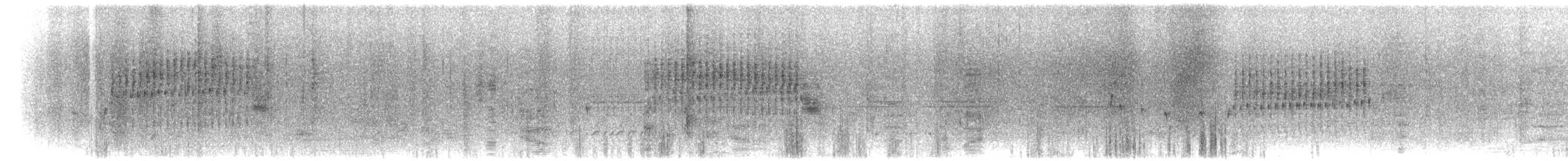 Marsh Wren (griseus) - ML432885691