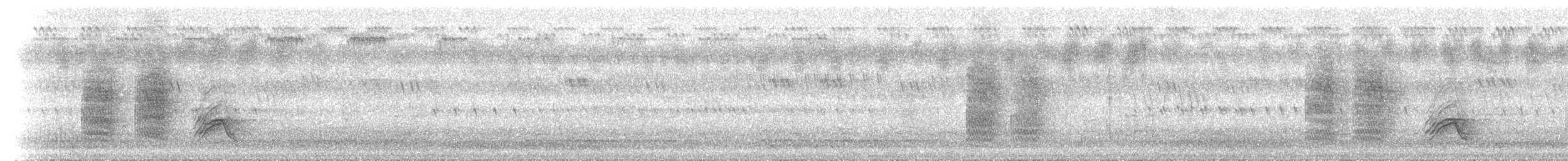 Çatal Kuyruklu Drongo (divaricatus/lugubris) - ML432922991