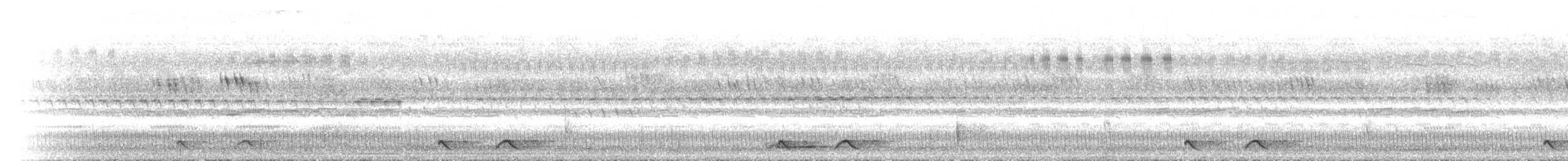 Дрімлюга плямистий - ML432923201