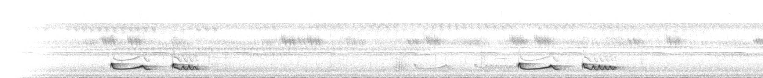 Pfeifnachtschwalbe (Schwarzschulter-Nachtschwalbe) - ML432923251