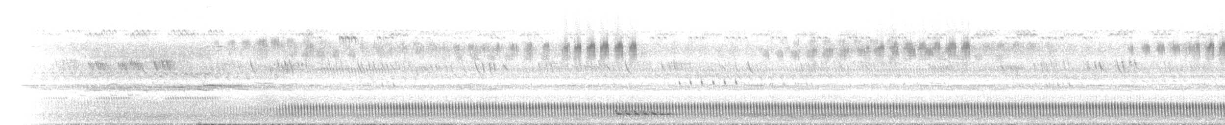 Long-tailed Nightjar - ML432923431