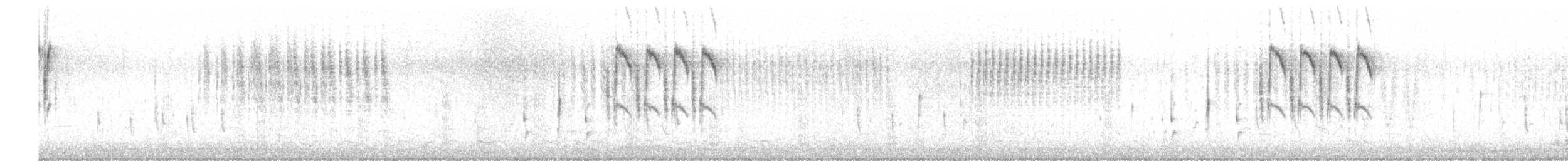 Troglodyte des marais - ML433032161