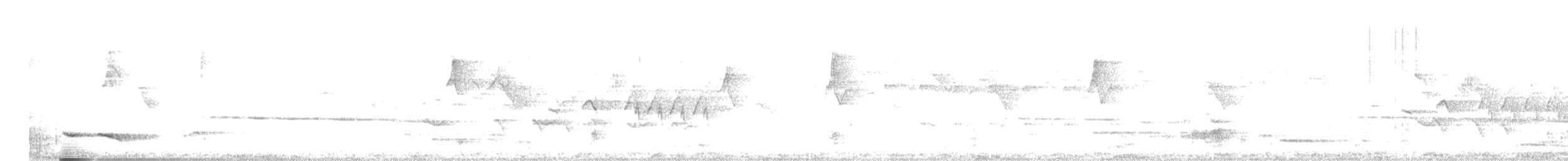 キバラクロシメ - ML433096921