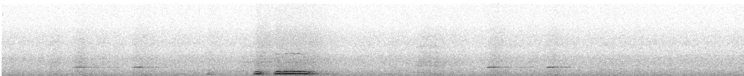 puštík hnědý - ML433105261
