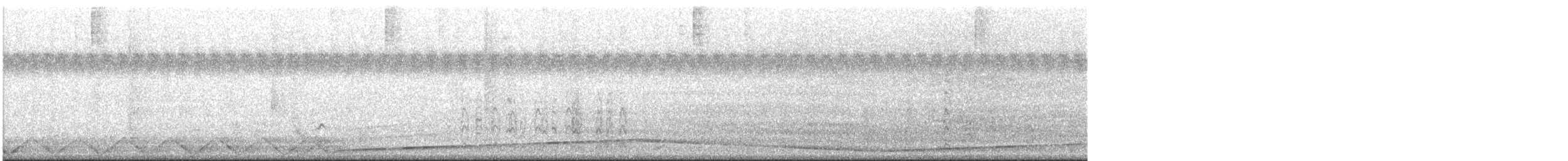 Bar-tailed Godwit - ML433105651