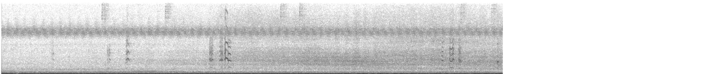 Bar-tailed Godwit - ML433158891
