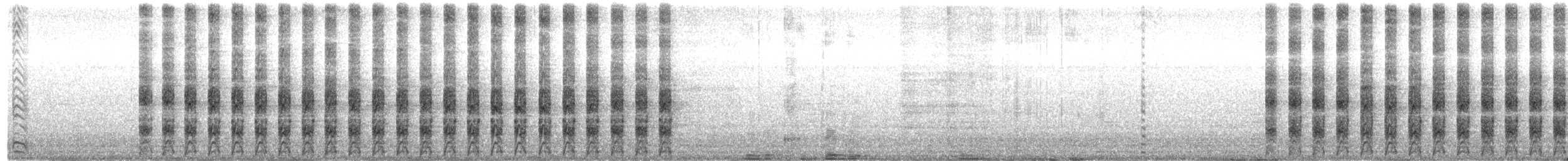 Psittaciformes, unbestimmt (parakeet sp.) - ML433179561