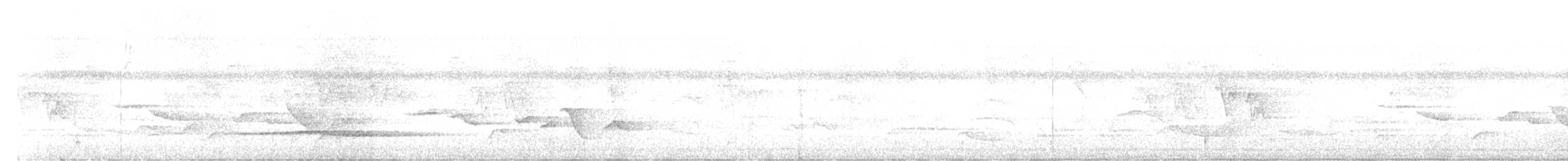 Little Tinamou - ML433229631