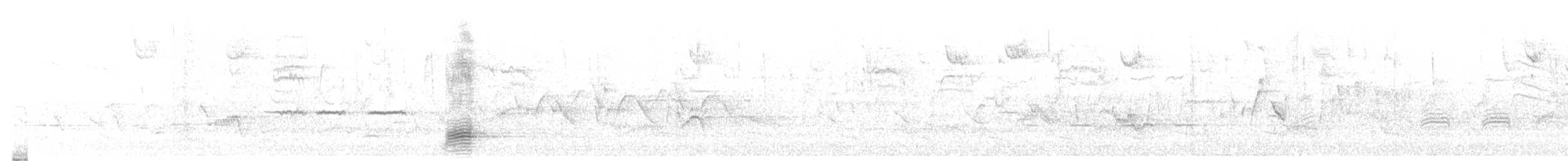 Mallard - ML433231891