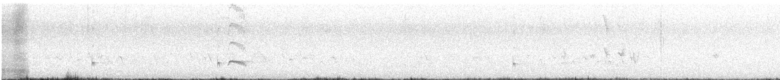 Ash-throated Flycatcher - ML433297371