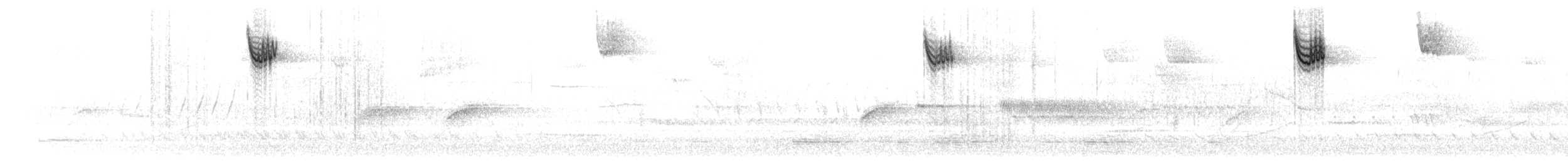strnadec bělohrdlý - ML433309681