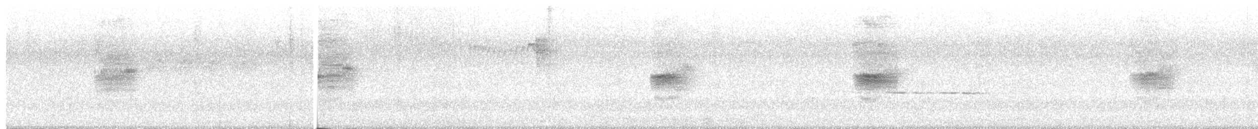Вилохвістка плямиста - ML433420221