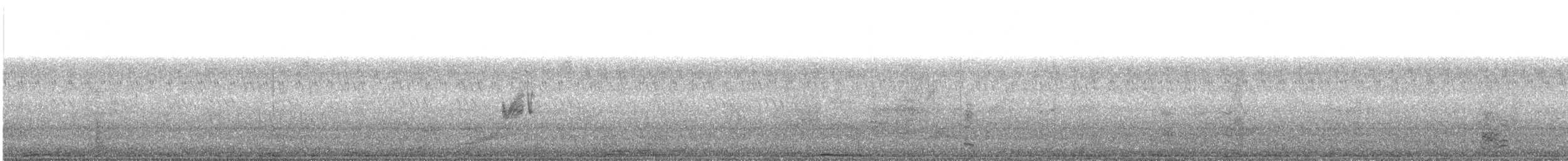 Savanna Nightjar - ML433425641