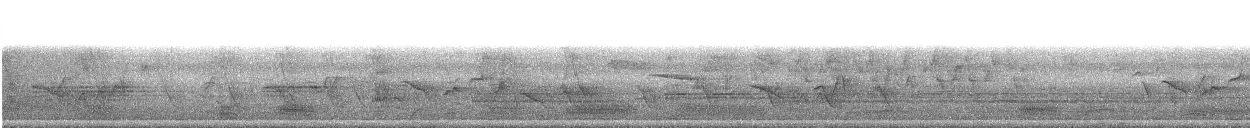עלווית בלטית - ML433428881