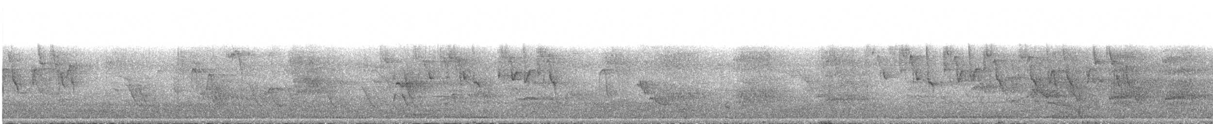 עלווית בלטית - ML433428901