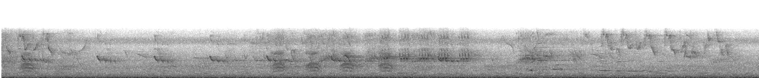 עלווית בלטית - ML433428921