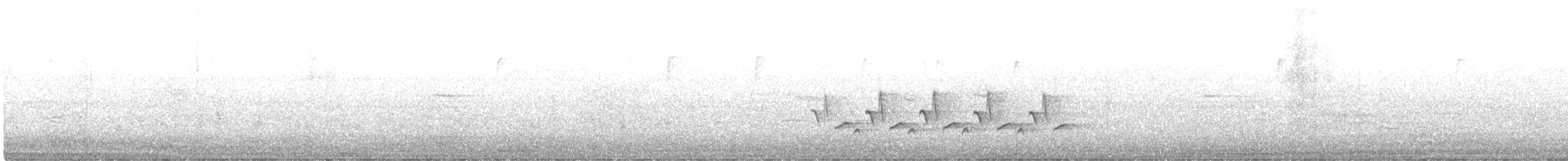 Каролинский крапивник - ML433455211