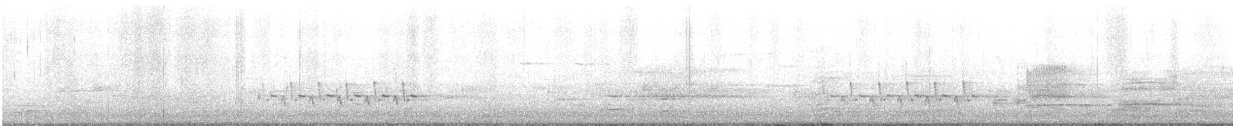 Поплітник каролінський - ML433478741