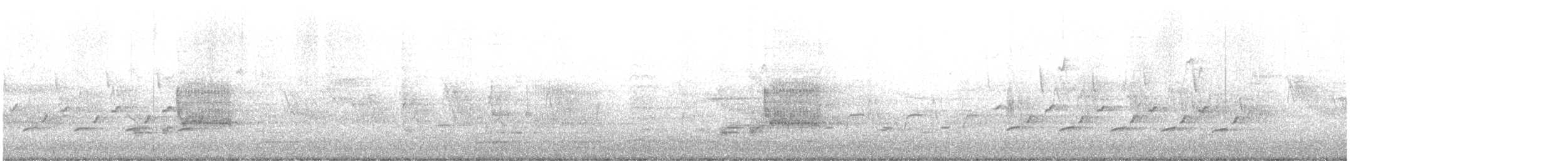 Поплітник каролінський - ML433478791