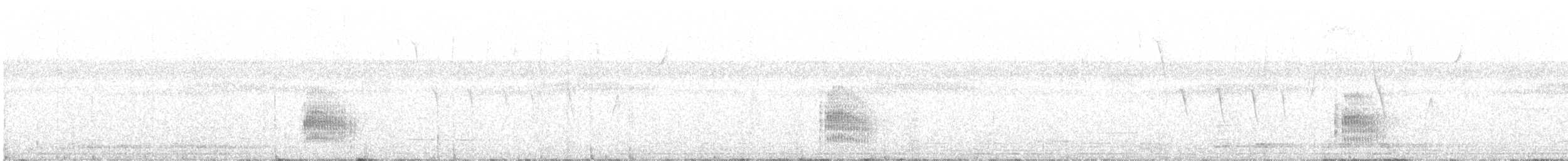 Blackish Antbird - ML433483661